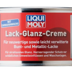 PAINT GLOSS CREAM 300g - 1532